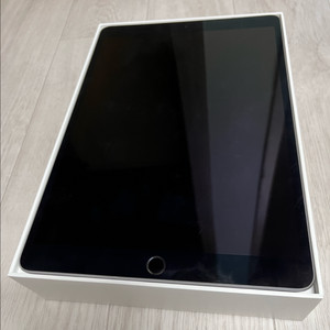 아이패드 프로 10.5 1세대 512gb 셀룰러