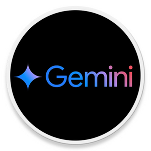 구글 제미나이 프로 (Google AI Gemini pro) 1년