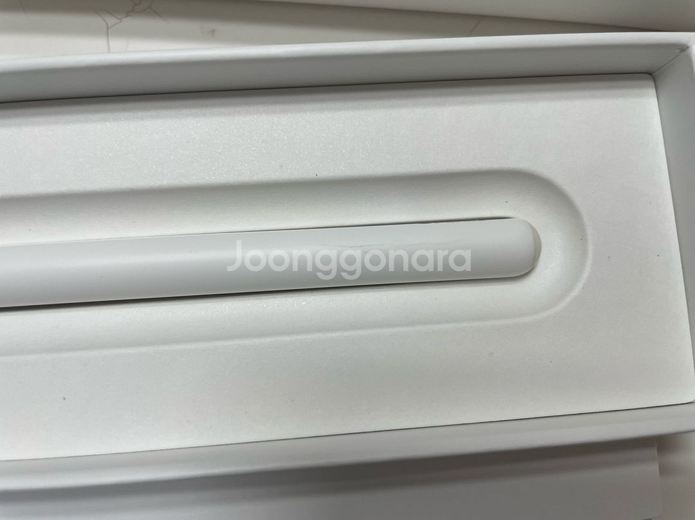 정품 ) 애플펜슬 2세대--2