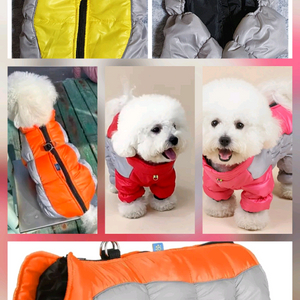 L ,2XL(4 -7kg) 강아지옷 패딩