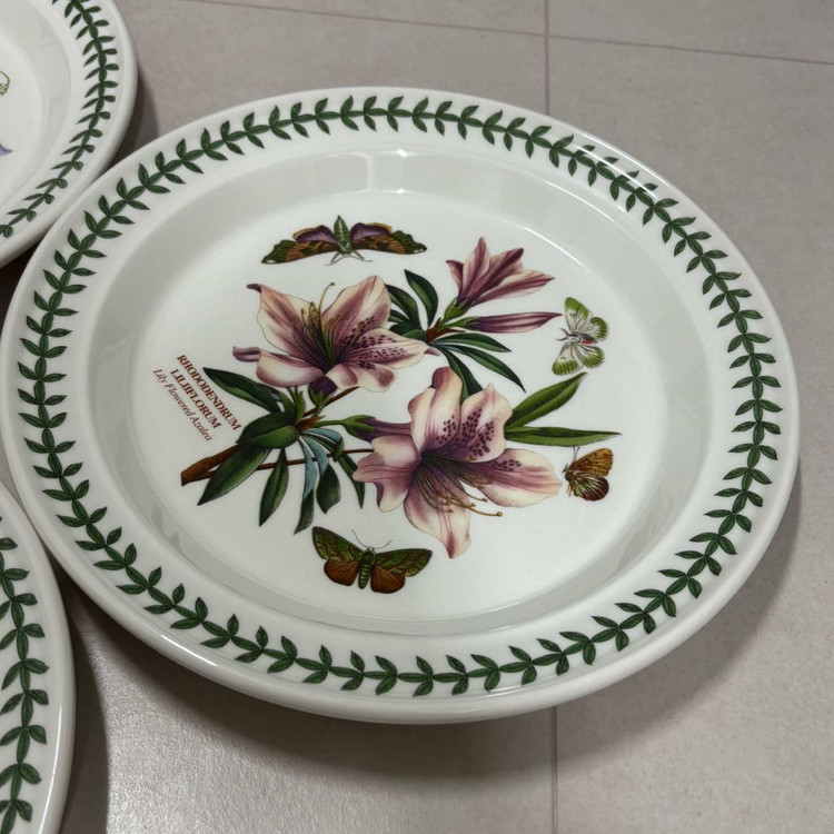 포트메리온 보타닉가든 접시--2