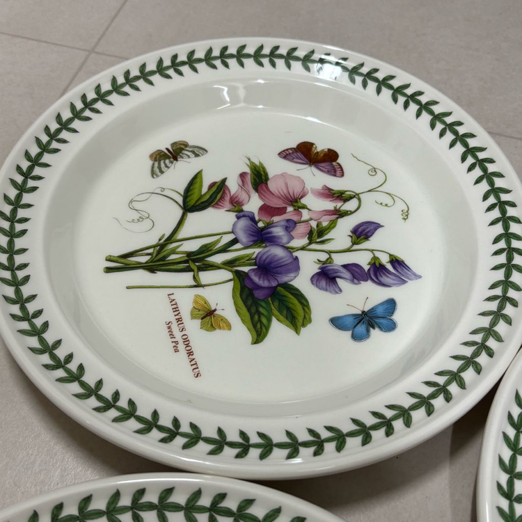 포트메리온 보타닉가든 접시--3