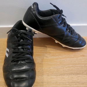 프로스펙스 축구화 250mm+나이키 정강이 보호대 M+축구양말 드림