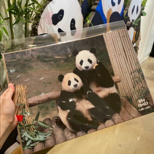 에버랜드 푸바오 판다 펄포스터