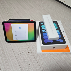 아이패드 미니 6세대 256기가 wifi 버전 + 애플펜슬 2세대