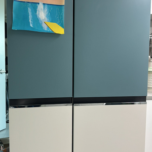 삼성 비스포크 냉장고 870L 2도어 급매처분