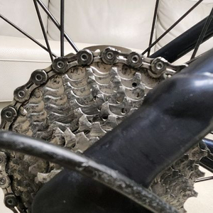 스패셜 라이즈드 알레 스프린트 콤프