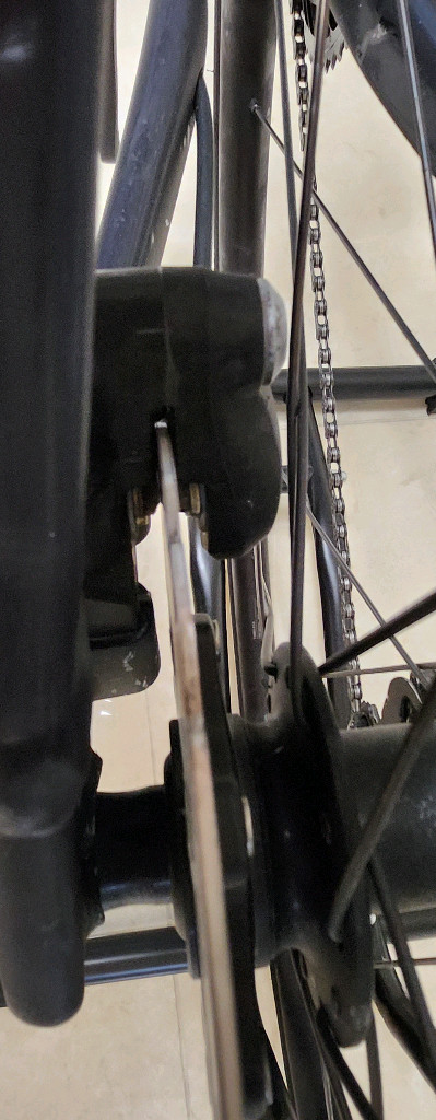 스패셜 라이즈드 알레 스프린트 콤프--7