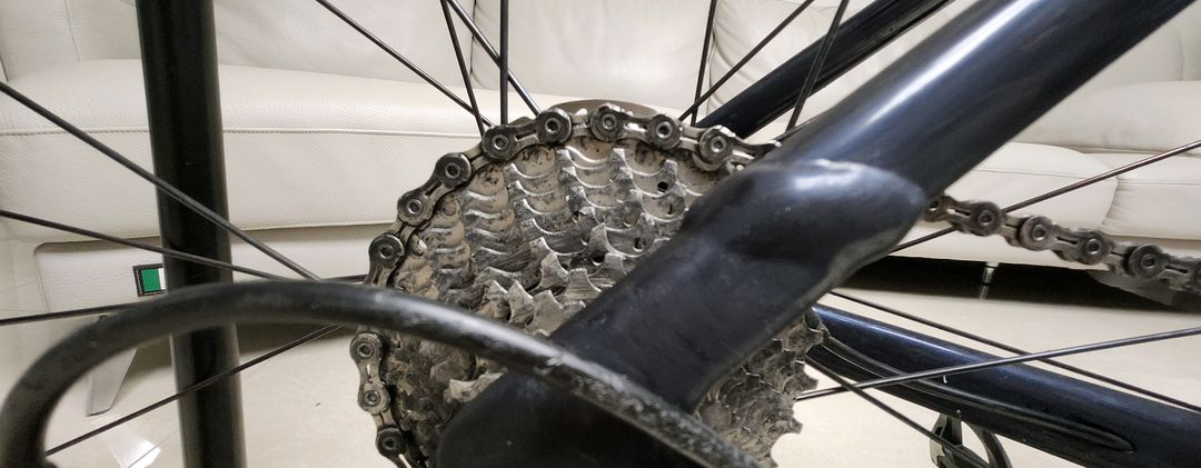 스패셜 라이즈드 알레스프린트 콤프--0