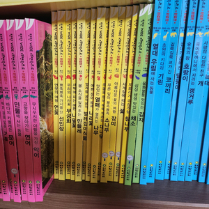 여원미디어 자연관찰책 팝니다