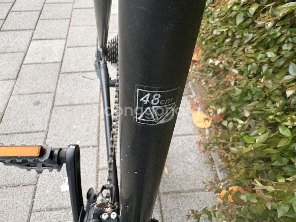 알톤 알톤 픽시 자전거--5