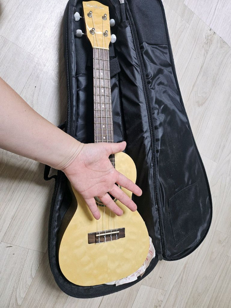 콘서트형 우쿨렐레--1