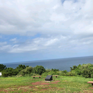 무주시즌권구매합니다 이미지