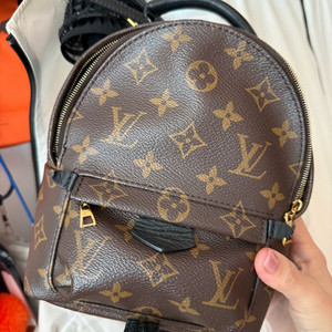 루이비통 팜스프링스 미니 백팩