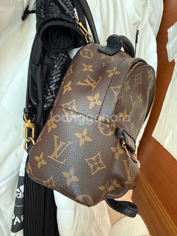 루이비통 팜스프링스 미니 백팩--2