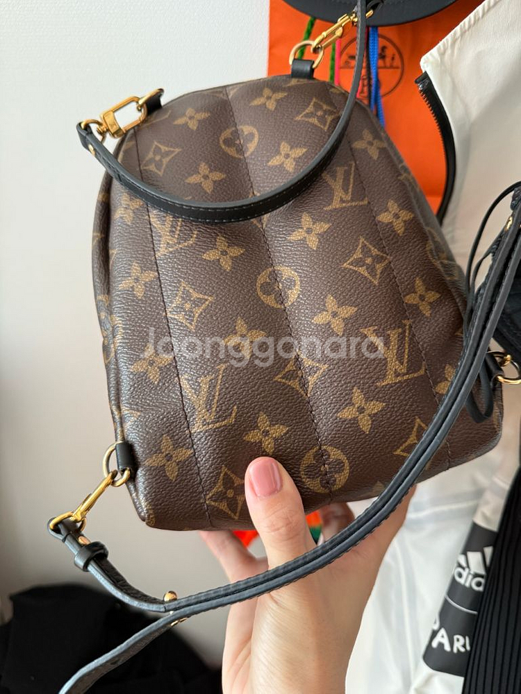 루이비통 팜스프링스 미니 백팩--5