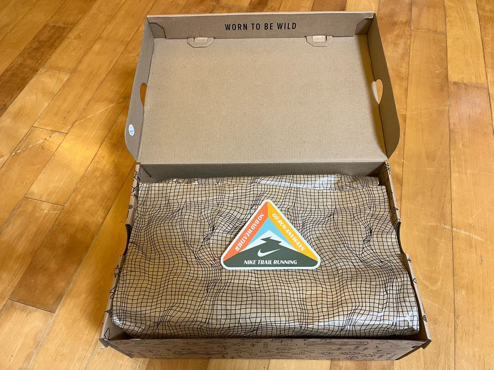 나이키 페가수스 트레일 5 고어텍스--1