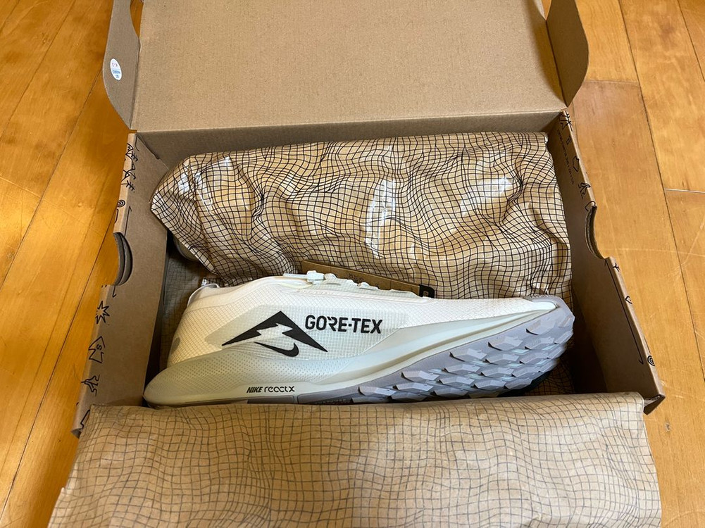 나이키 페가수스 트레일 5 고어텍스--2