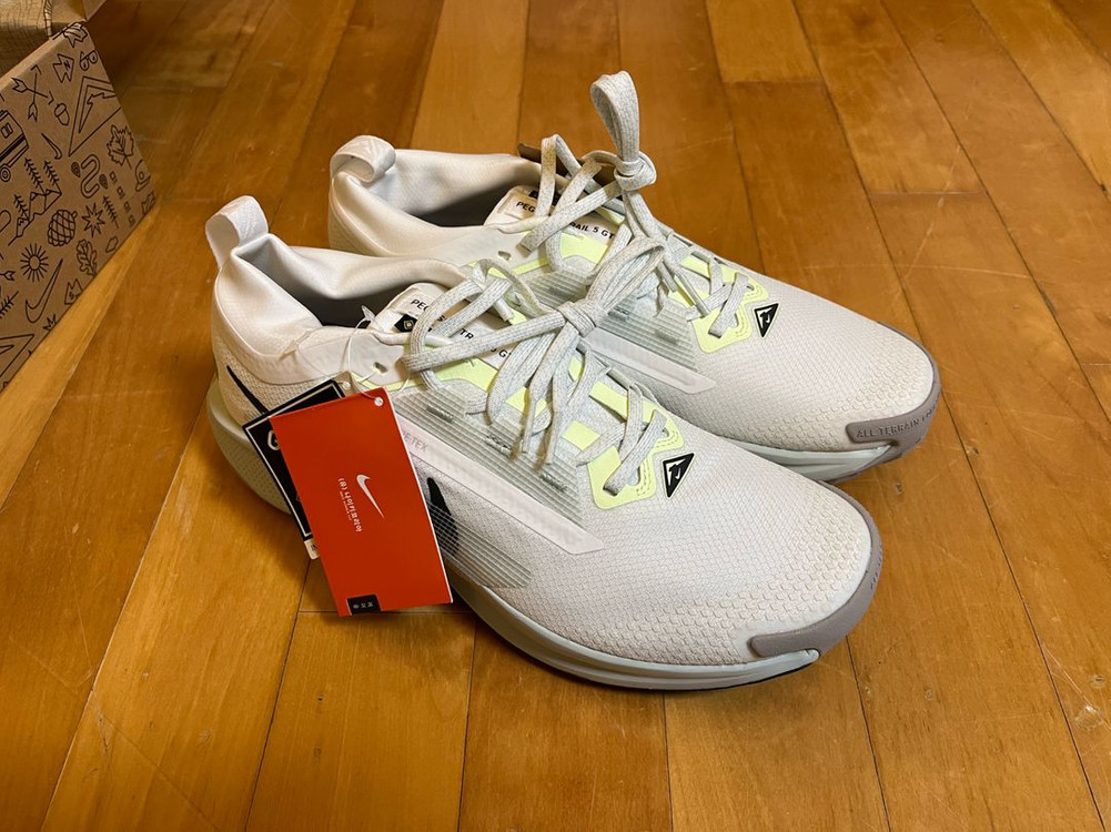 나이키 페가수스 트레일 5 고어텍스--3