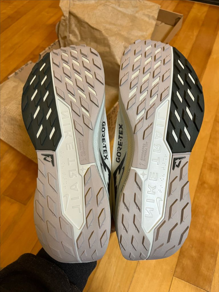 나이키 페가수스 트레일 5 고어텍스--4