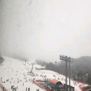 웰리힐리 크리스마스연휴숙박 이미지