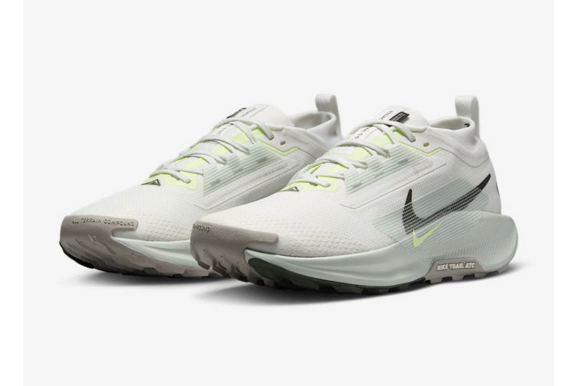 나이키 페가수스 트레일 5 고어텍스--6