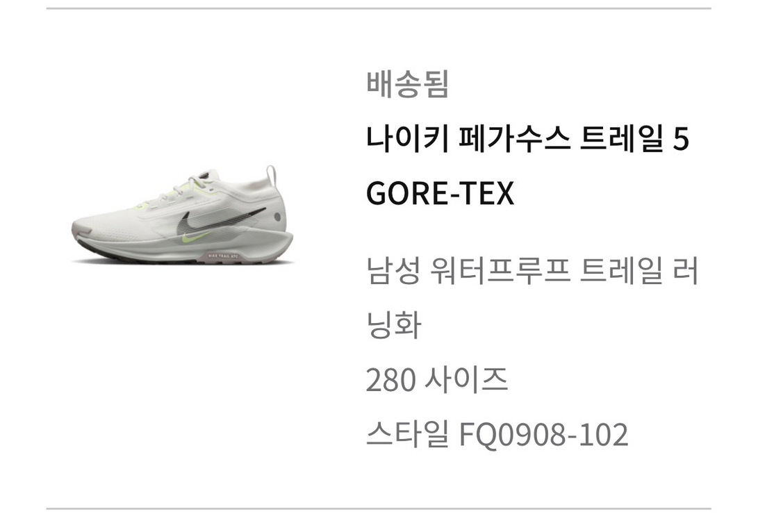 나이키 페가수스 트레일 5 고어텍스--8