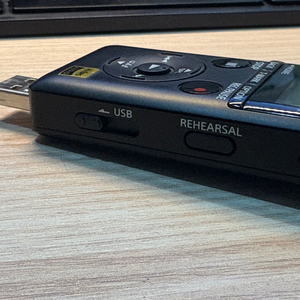 SONY PCM-A10 디지털 녹음기