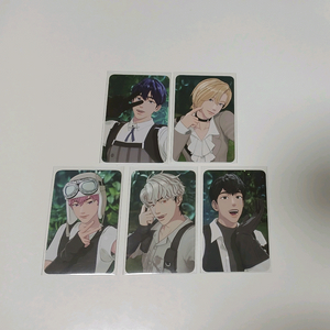 플레이브 W4L 케타포 럭드 포카 일괄