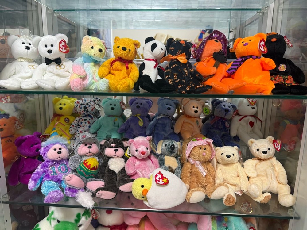 ty베어, beanie kids 인형 판매합니다 - 안심되는 중고거래