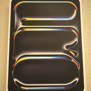 아이패드 프로 13 M4 256GB wifi