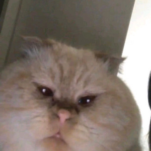 세븐나이츠 파이테두리 쿠폰 구매합니다