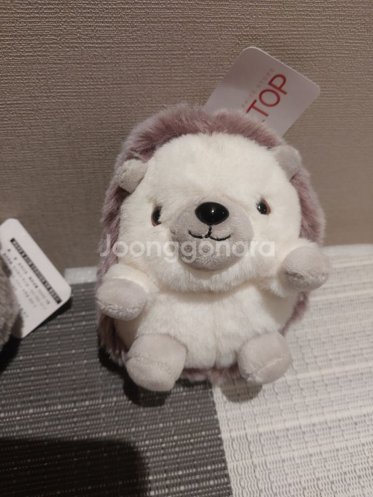 봉제정품)예쁜고슴도치 키링 미개봉사진찍기위해 개봉함 (--3