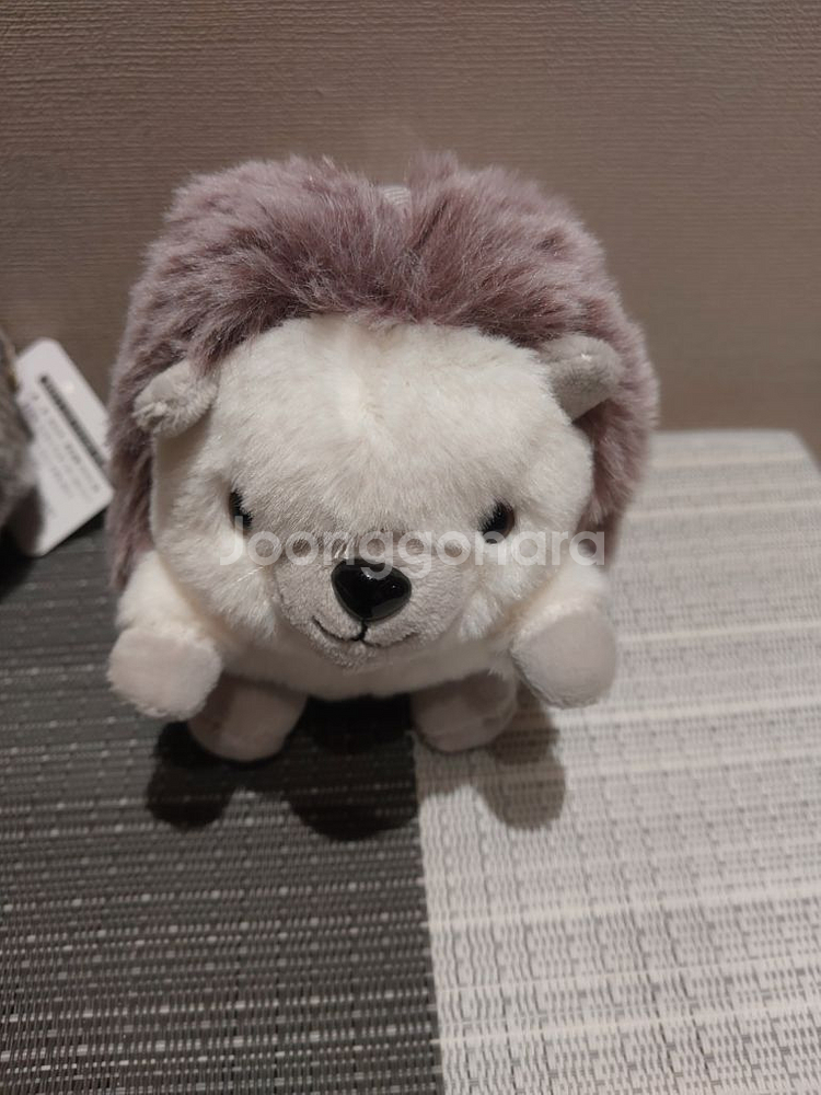 봉제정품)예쁜고슴도치 키링 미개봉사진찍기위해 개봉함 (--4