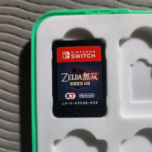 닌텐도 스위치 젤다 무쌍 대재앙의 시대