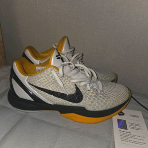 코비6프로트로 화이트 델솔