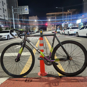 엔진11 크릿디 픽시 L