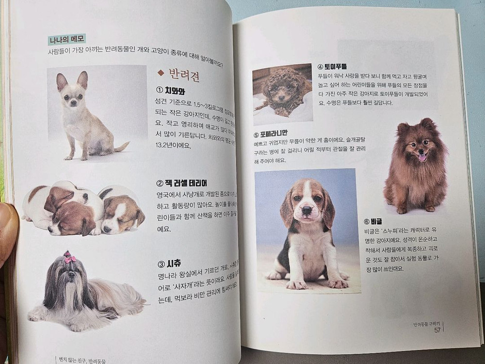 뭉치 사회과학토론왕--5