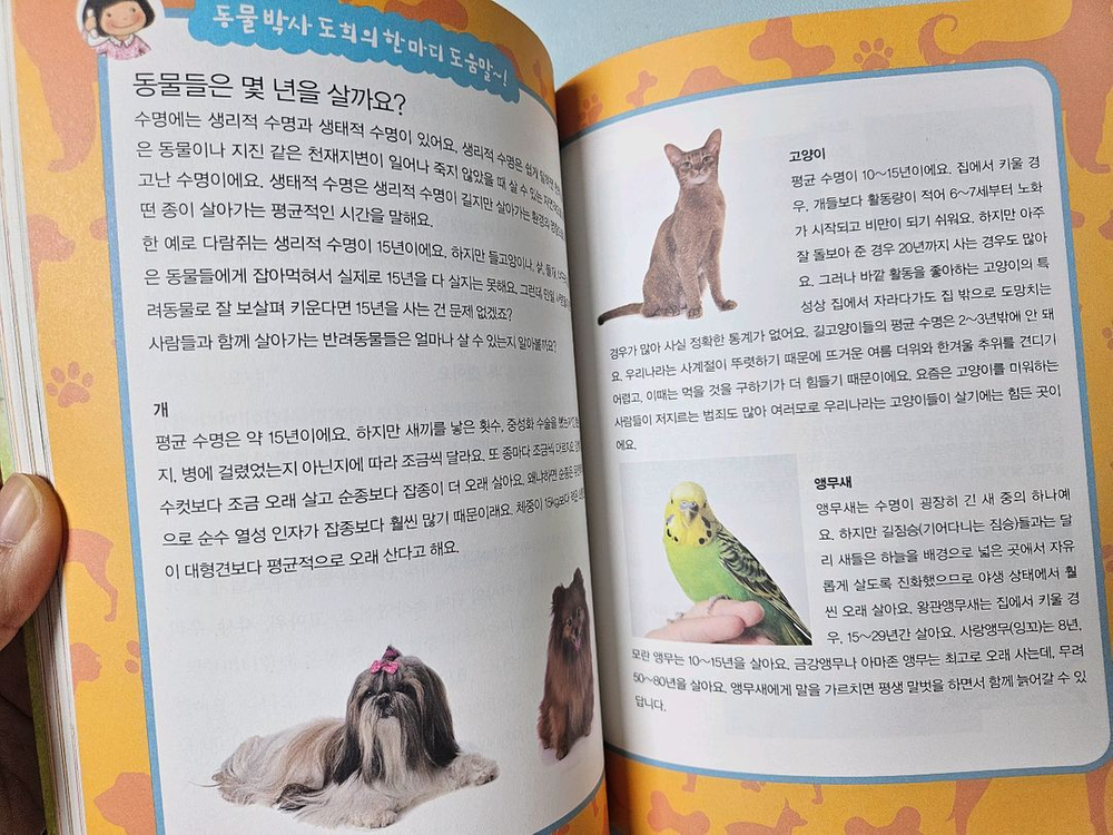 뭉치 사회과학토론왕--6