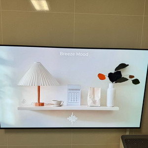 LG LG 55인치 OLED TV + 벽걸이 브라켓+스탠드 받침대 이미지