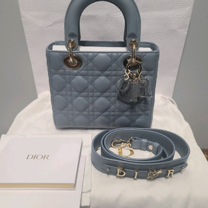 디올 레이디백 스몰