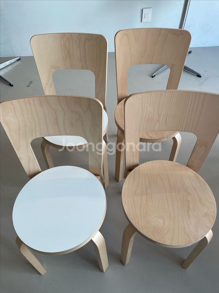 아르텍 66체어 버치 , 화이트--1