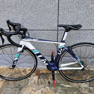 자이언트 리브엔비 카본로드바이크