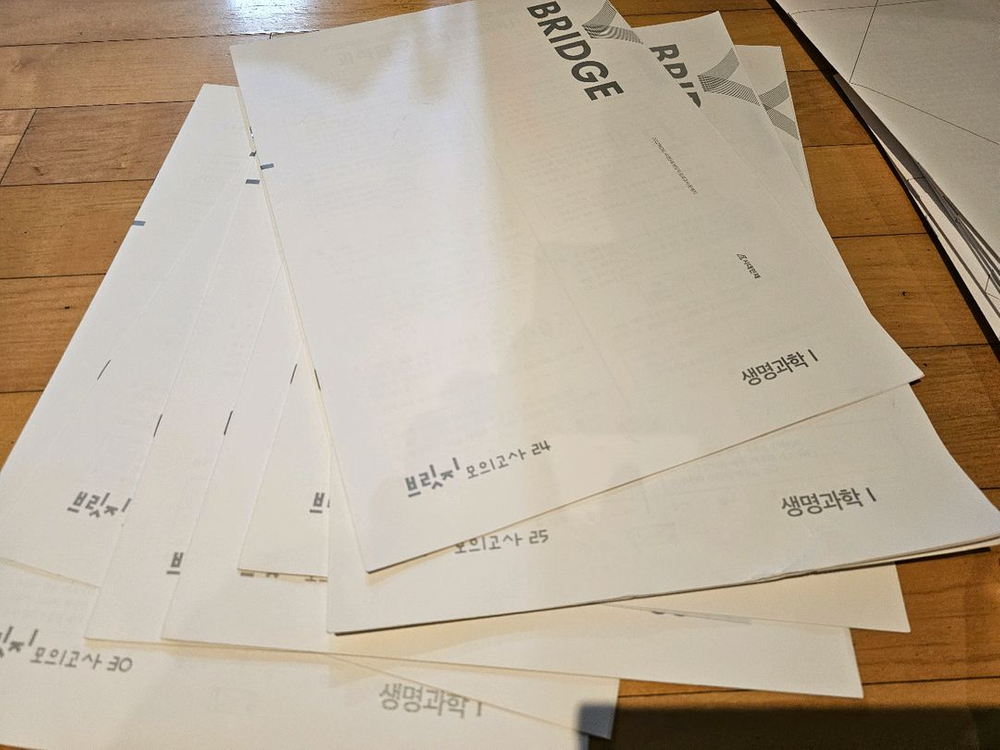 (미사용) 시대인재 서바이벌,브릿지,액셀 등(수학/생1/국어)--1