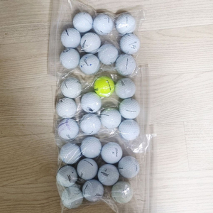 타이틀리스트 골프공 로스트볼 10개 묶음