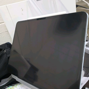 아이패드 프로 13인치 M4 256GB 셀룰러 + 애케플 및 펜슬프로