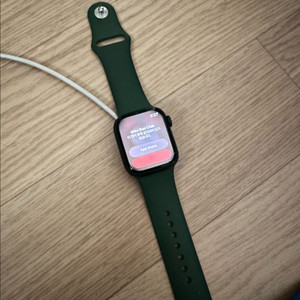 애플워치 7 41mm 그린 스포츠밴드 이미지