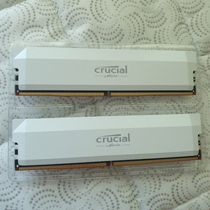 크루셜 프로 32GB DDR5 6000 cl36 택포 32만