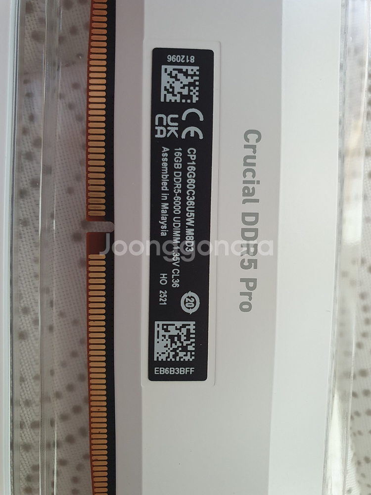 크루셜 프로 32GB DDR5 6000 cl36 택포 32만--1