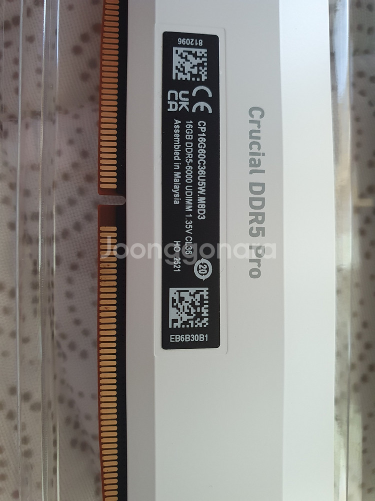 크루셜 프로 32GB DDR5 6000 cl36 택포 32만--2